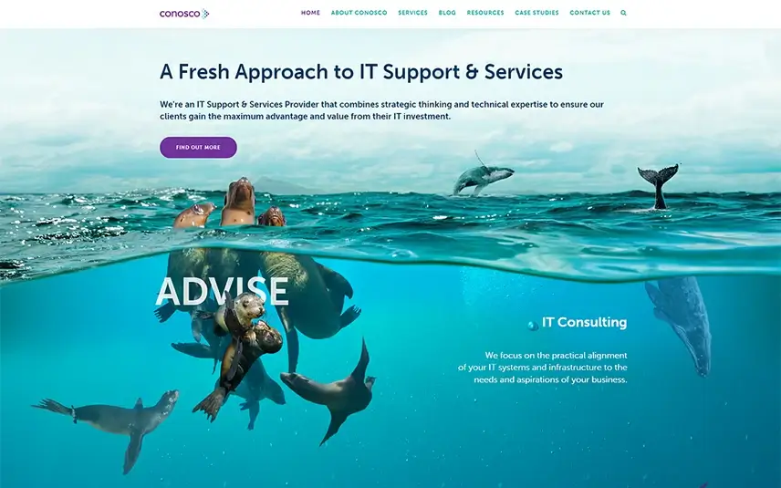 Cisco website design by Church Web Studio