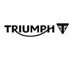 Triumph logo highlighting Church Web Studio's industry expertise